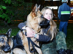 Волгоградцы станут авторами 40 баннеров социальной рекламы о защите животных