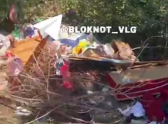 Гигантская свалка с крысиным семейством появилась в Волгограде – видео