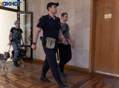 Под щенячьим конвоем: обвиняемых в убийстве айтишника спрятали от волгоградцев 