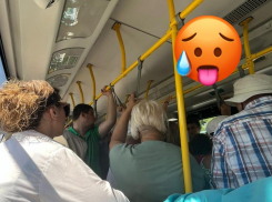 «В космос летаем, а кондиционеров в автобусе нет»: волгоградцы требуют прохлады в общественном транспорте летом 