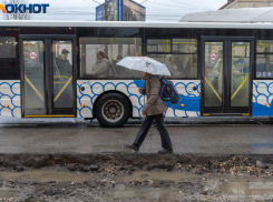 Транспорт в Волгограде переводят на особый режим работы