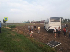 Автобус «Диана Тур» врезался в «Газель» и улетел в кювет: пострадали волгоградцы 