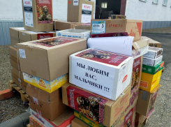 Полмиллиарда рублей поступило в фонд поддержки волгоградцев на СВО