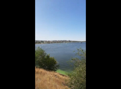 Толпу белоснежных регат на Волге под Волгоградом сняли на видео