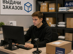 Владелец двух ПВЗ в Волгограде подменил компьютерные детали на 2,5 млн 