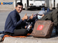 «Картошка подорожала, потому что стало меньше таджиков»: в Волгограде потребовали ограничить приток мигрантов