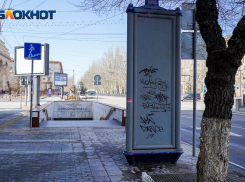 В Волгограде зафиксирована аномально жаркая погода