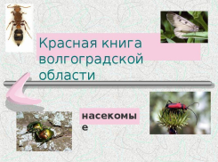 В Волгоградской области появится новая Красная книга
