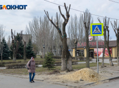 Новая неделя в Волгоградской области начнется с заморозков до -7