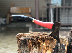 Волгоградка ударила сына топором из-за отказа помочь по дому