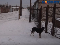 Женщина со сложной трудовой судьбой насмерть замерзла под Волгоградом