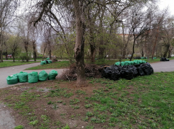 Волгоградцы напомнили мэрии про «забытые» после субботника горы мусора