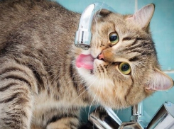 На юге Волгограда на 2 дня отключат воду