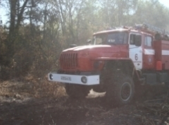 В Николаевском районе локализован пожар в лесу