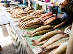 Опасного леща из будущего обнаружили в Волгограде