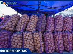  С сегодняшнего дня подорожала на полях: что говорят о картошке на волгоградских рынках 