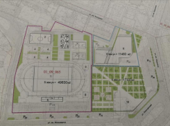 Что будет на месте Тракторного рынка, рассказали волгоградские чиновники