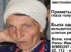 Голубоглазая бабушка в вельветовом пиджаке бесследно исчезла под Волгоградом