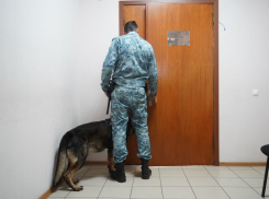 Похитившей более 6 млн волгоградской чиновнице отсрочили приговор
