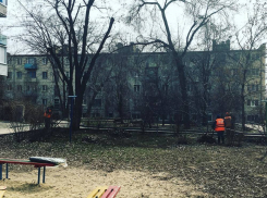 Молодая мама добилась от УК уборки двора через «Блокнот Волгограда»