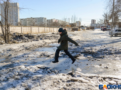 Как выбрать профессию для особенного ребенка, размышляли педагоги в Волгограде