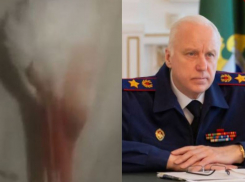 Историей с отравленными волгоградскими птицами заинтересовался Александр Бастрыкин