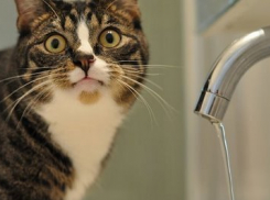 В пяти районах Волгограда вновь отключат воду