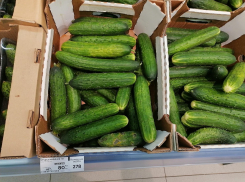 Продукт-рекордсмен по снижению цены найден в Волгограде