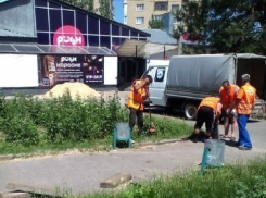 В Волгограде приступили к благоустройству сквера Касимовский