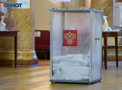 Объявлены итоги выборов в Госдуму в Волгоградской области 