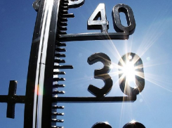 МЧС объявило экстренное предупреждение из-за пожароопасности в Волгоградской области