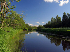 В природном парке «Нижнехоперский» бизнесмены незаконно построили ангары