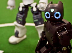 Человекоподобный робот поселится в Волгограде