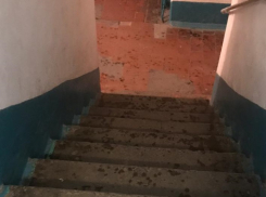 «Слегка побрызгали веником»: как выглядит дезинфекция по-волгоградски