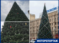 С севера на юг: волгоградцам предложили найти самую нарядную елку