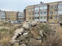 Свинство на миллионы устроил застройщик под Волгоградом