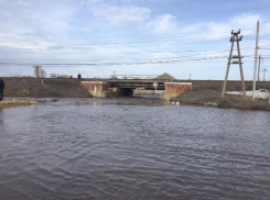 Экстренных служб и чиновников нет на месте затопления хутора под Волгоградом, - активист  