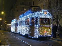  Как будут ходить трамваи и троллейбусы в новогоднюю ночь в Волгограде