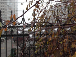 Суббота в Волгограде будет дождливой