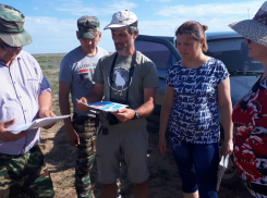 Московская научная экспедиция прибыла в Волгоградскую область изучать морских зуйков