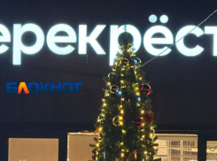 Первую новогоднюю ель установили в Волгограде