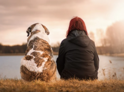 Волгоградцы не намерены участвовать в обсуждении насчет запрета выгула собак