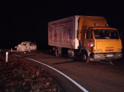 Мужчина погиб в ДТП с грузовиком в Волгоградской области