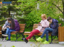 Вход в интернет по паспорту одобрили треть волгоградцев