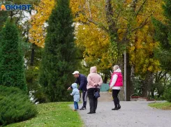 Волгоградцам придется работать в семейный праздник