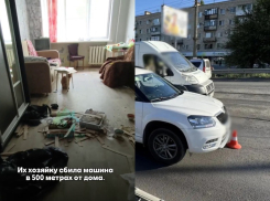 Два кота трое суток просидели взаперти после гибели волгоградки под колесами