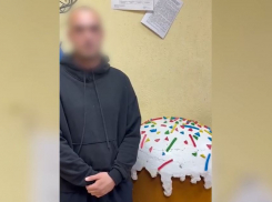 «Поступок объяснить не могу»: задержан похититель гигантского кулича в Волжском