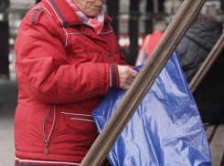 Волгоградские чиновники признались в любви к пакетам с буквой V