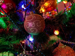 Волгоградцы зарабатывают на ставших ненужными елках