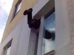 Волгоградец украл у пенсионерки полмиллиона  рублей